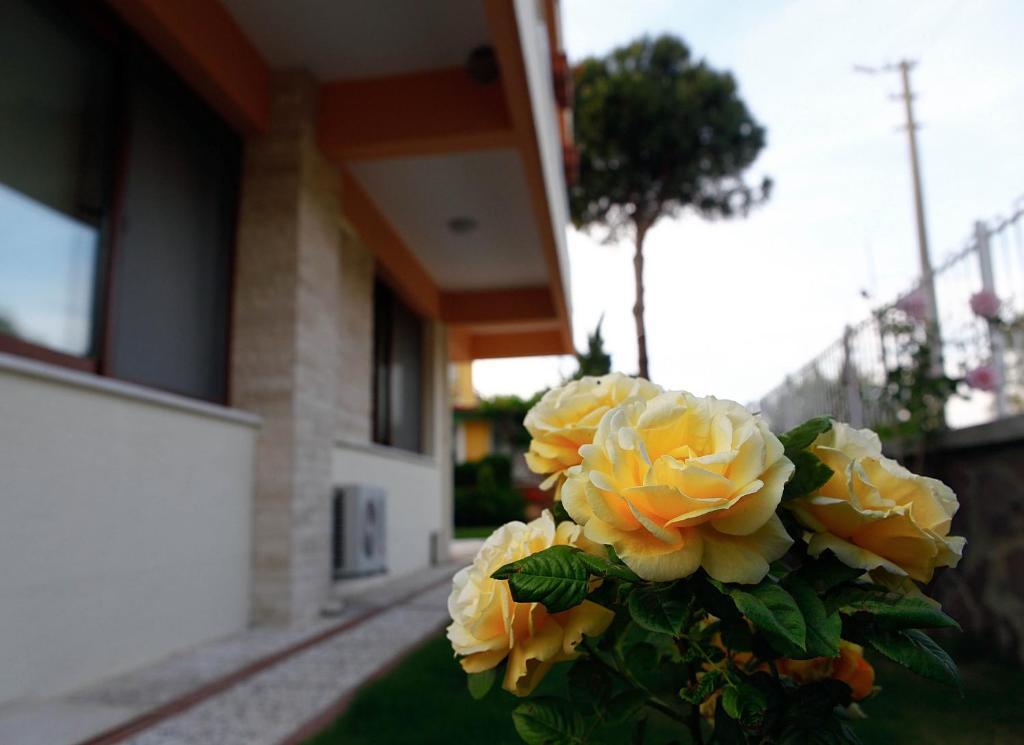 Villa Fokai Hotel Yenifoca Zewnętrze zdjęcie
